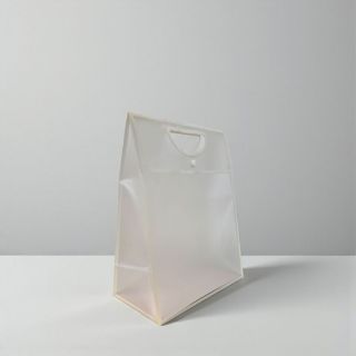 Sacola Transparente Fosca Pvc Alça Plana e Botão Branca - 31x24x12,5cm - 1 unidade - Rizzo em Oferta na Shopee