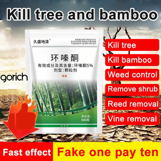 [Para Jardim Saudável] [Cuidado Fácil] Rei do Bambu: Limpando Raízes Podres Plantas/Ornamentais/Cultivo
