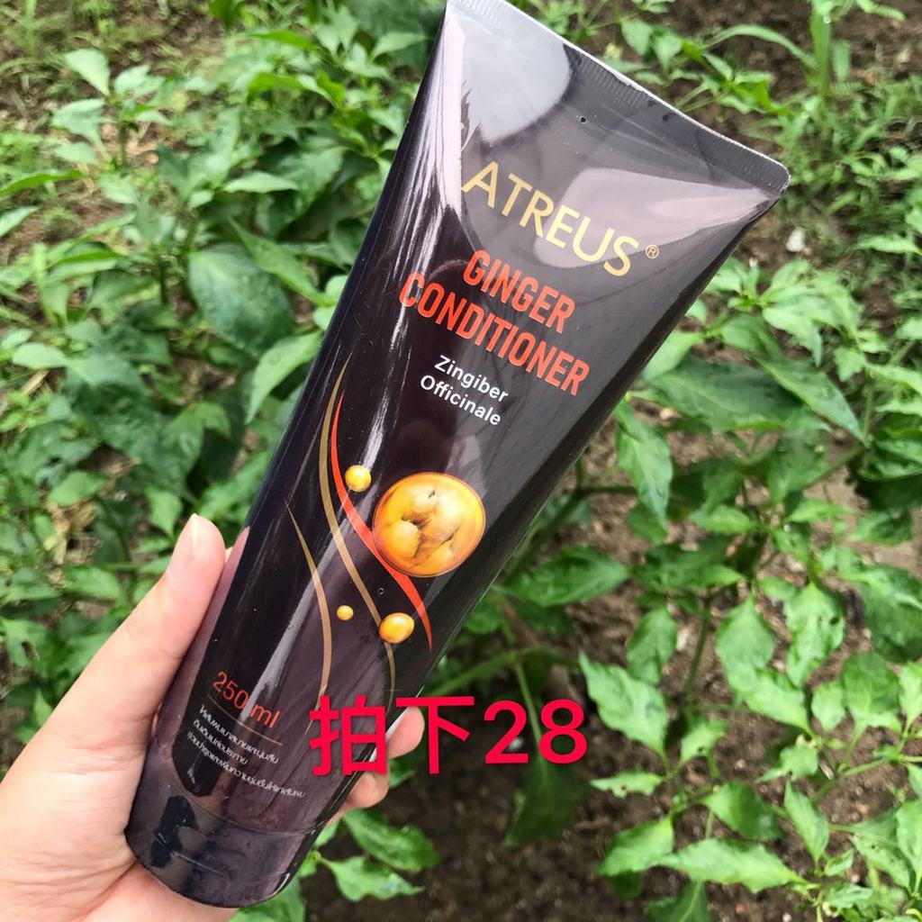 Tailândia ATREUS Gengibre Condicionador Reparador Secura Melhora o Frizz Suave Silicone Livre