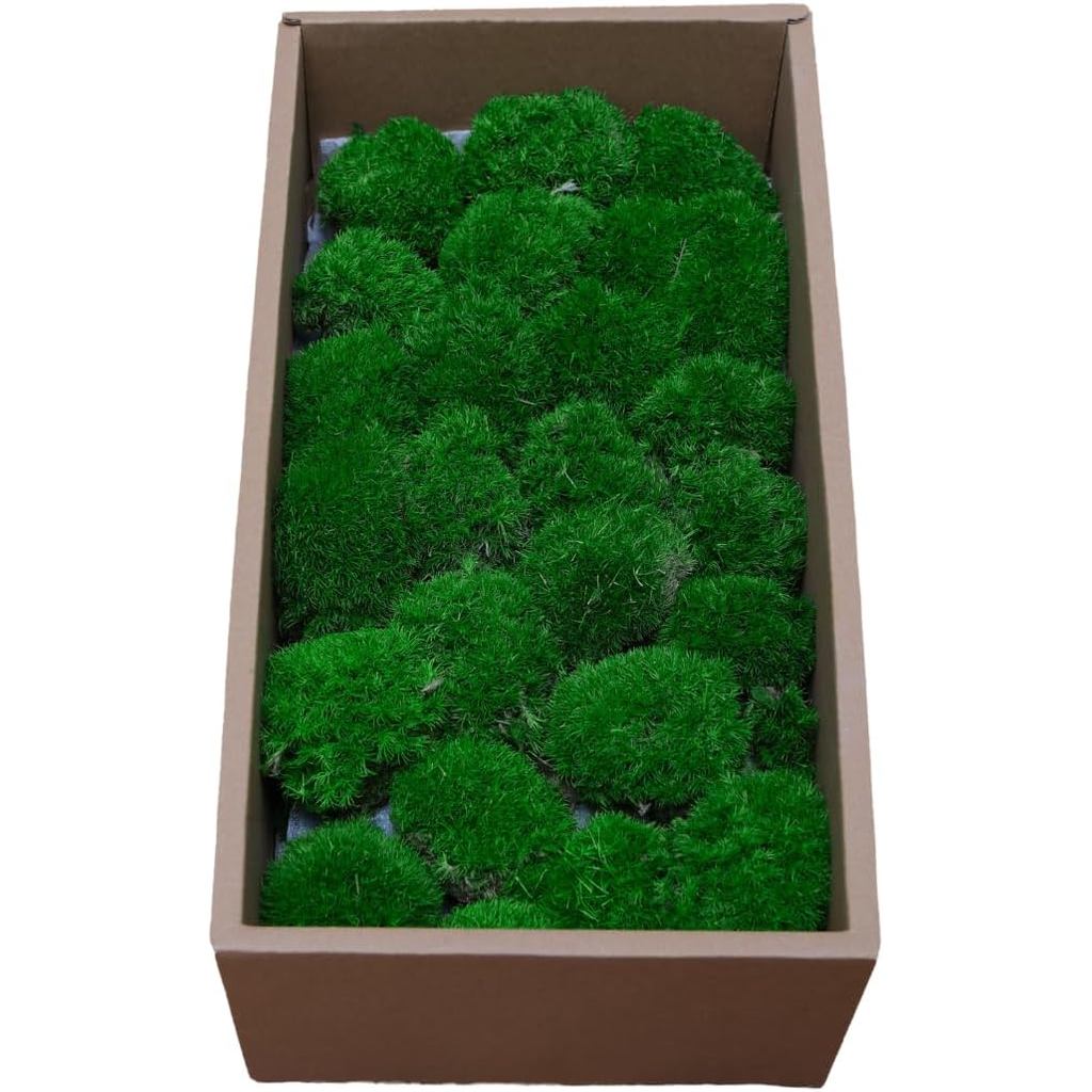 Preserved Moss for DIY Crafts - 1.5 sq.ft Natural Dried Moss for Terrarium, Fairy Garden, Home Decor, Wall Art, Floral A