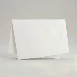 Papel de Seda - 50x70cm - Branco - 10 unidades - Rizzo