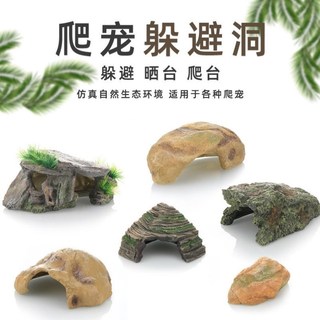 Tartaruga dedicada pedra tartaruga escondendo casa paisagem pedra tanque de reprodução paisagismo ecológico Rockery supr