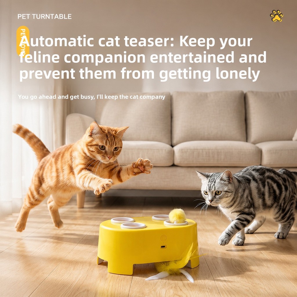 Brinquedos para animais de estimação elétrico gato queijo caixa mágica provocando brinquedos de gato resistente a riscos
