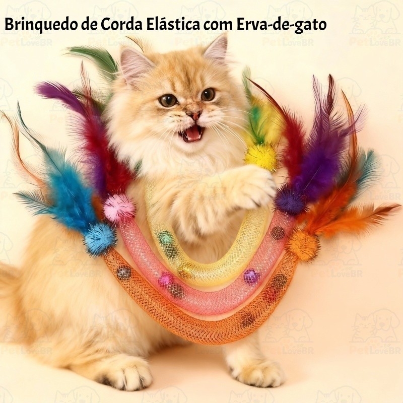 Brinquedo para Gato com Molas, Corda e Tubo de Pena | Catnip Incluso Interativo