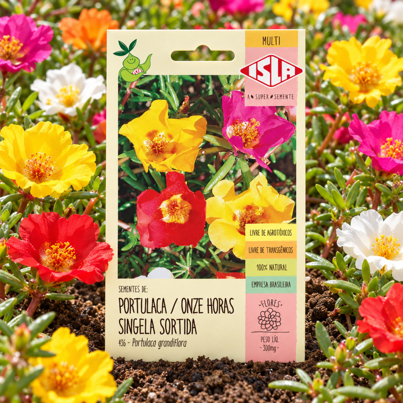 Sementes de Onze Horas Singela Portulaca