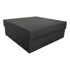 Caixa Para Presente Premium Dupla 22x22x08 Premium Chique