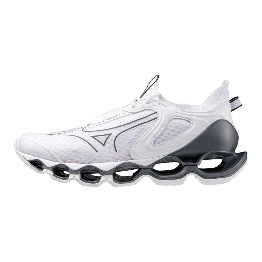 Tênis Mizuno Wave Prophecy 14