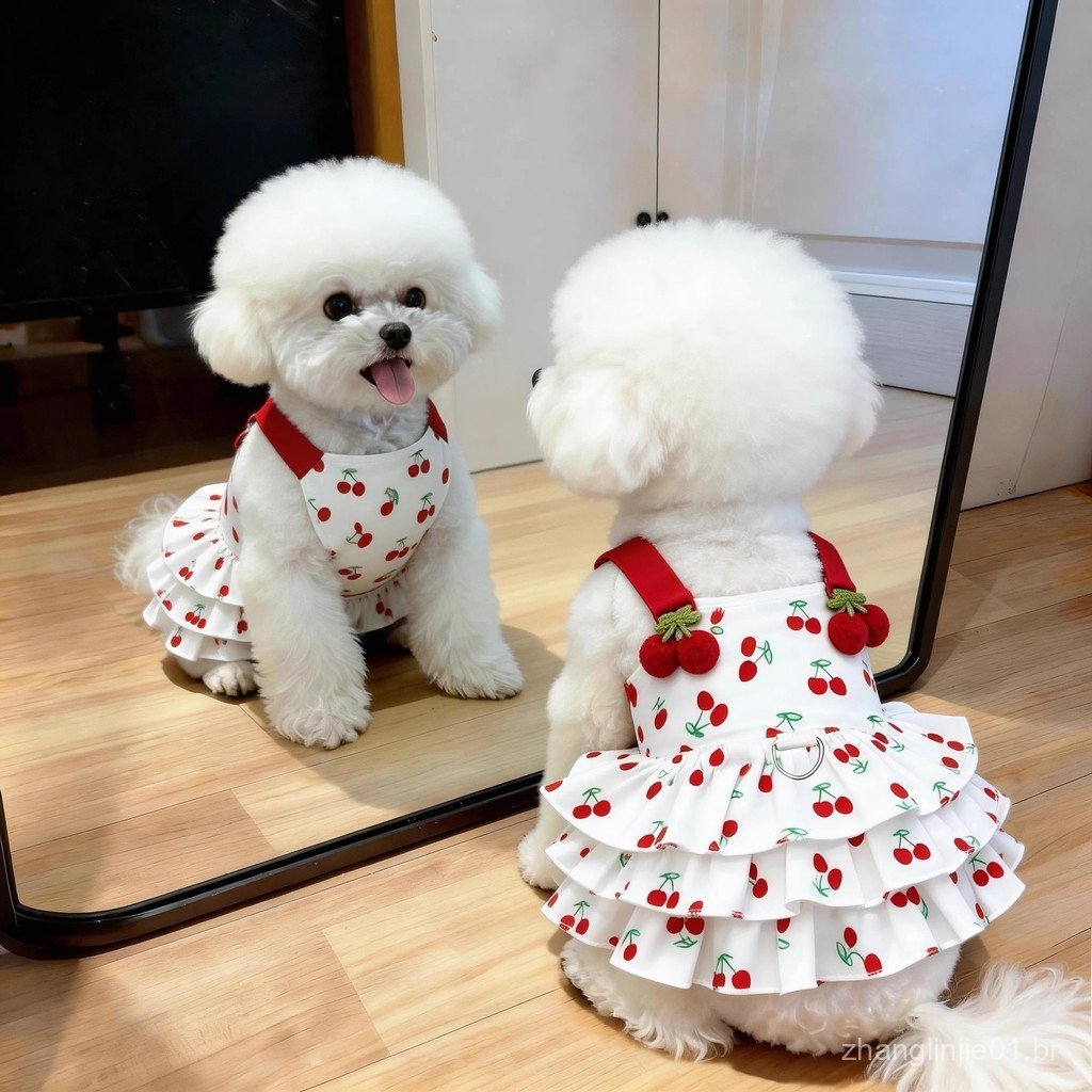 Roupas de Verão para Gatos, Vestido de Princesa Fino e Respirável, Vestido Fofo para Cães Pequenos, Teddy, Bichon, Pomer