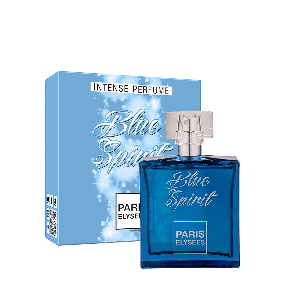 Perfume Paris Elysees Blue Spirit Masculino EDT 100ml