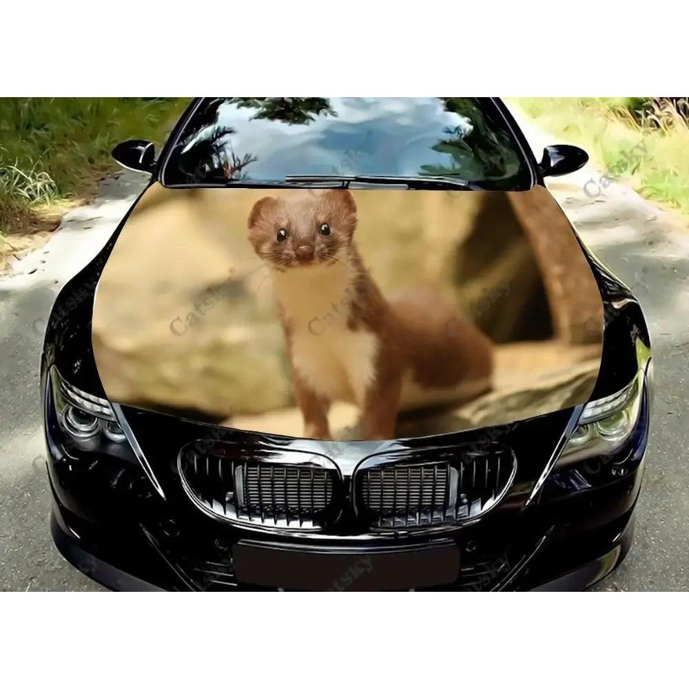 Doninha Animal Capô Do Carro Adesivos De Vinil Envoltório Capa Filme Decalques Motor Personalizado Acessórios Automóveis