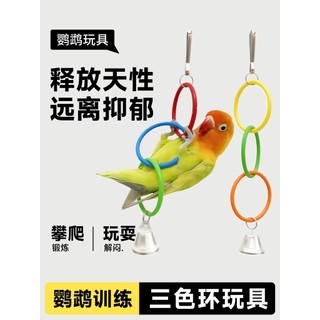 Anel de balanço de papagaio, pele de tigre, pequeno sol, arco-íris, brinquedo de escalada, pequeno pássaro, Xuanfeng, ac