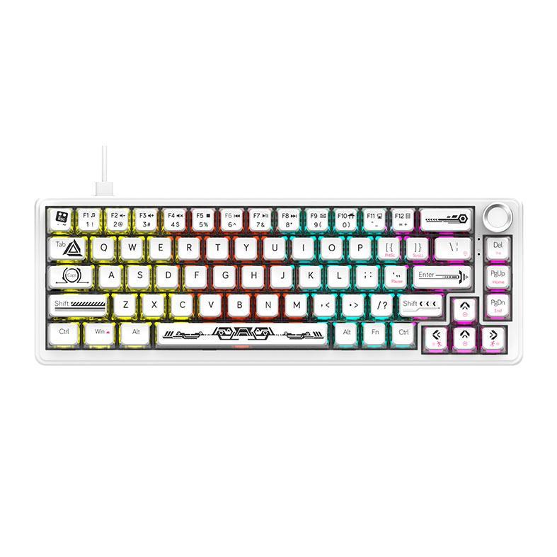 Teclado Mecanico Ajazz AK690, Rainbow, Switch Maillard, Transparent White, AK690-TW