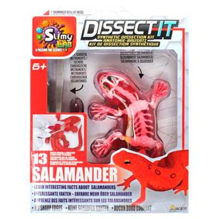 Kit de Dissecação com Refil Lab Dissect-It - Salamandra em Oferta na Shopee