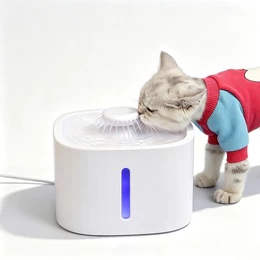 Bebedouro Fonte De Água Para Gatos Silencioso E Econômico Filtro Para Pet Cachorro Gato 3 Litros