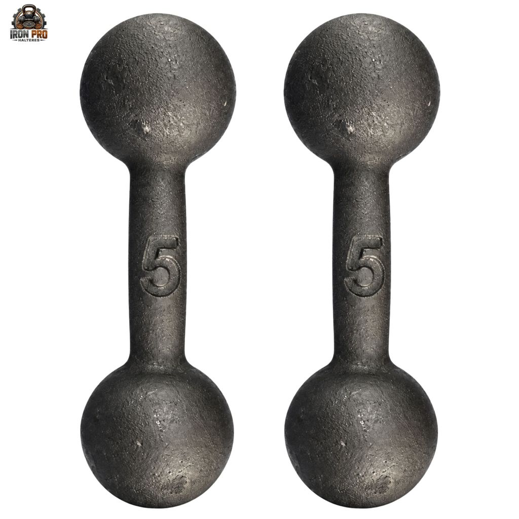 Halter Bola Pintado 5 kg PAR Fisioterapia Musculação Academia CrossFit Treino Funcional Fitness Peso Livre Exercício Cas