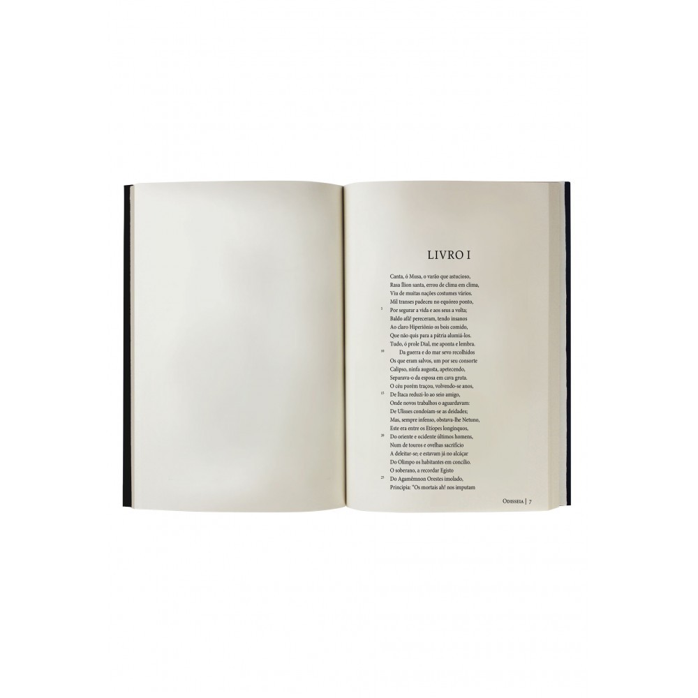 Livro Odisseia - Edição Supreme Capa Dura com Alto Relevo - Import · foto 2
