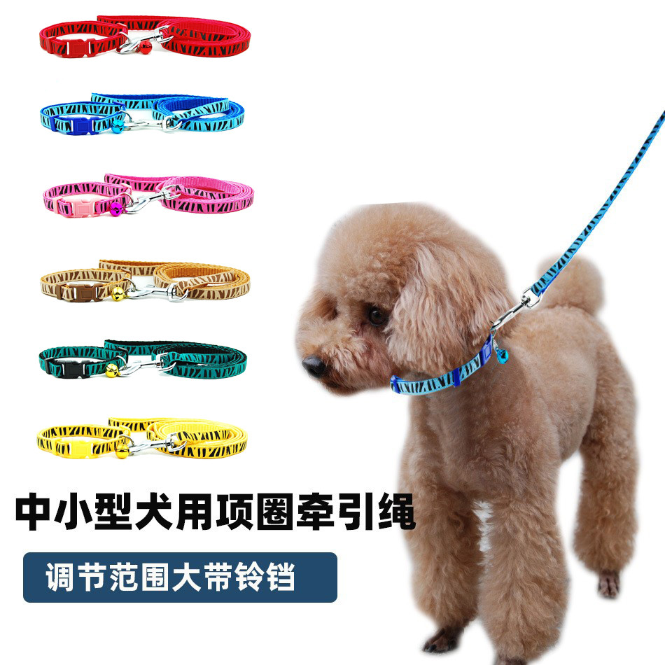 Coleira com fivela para cães pequenos e médios, cinto com cordão para puxar no pescoço, corrente para cães e gatos