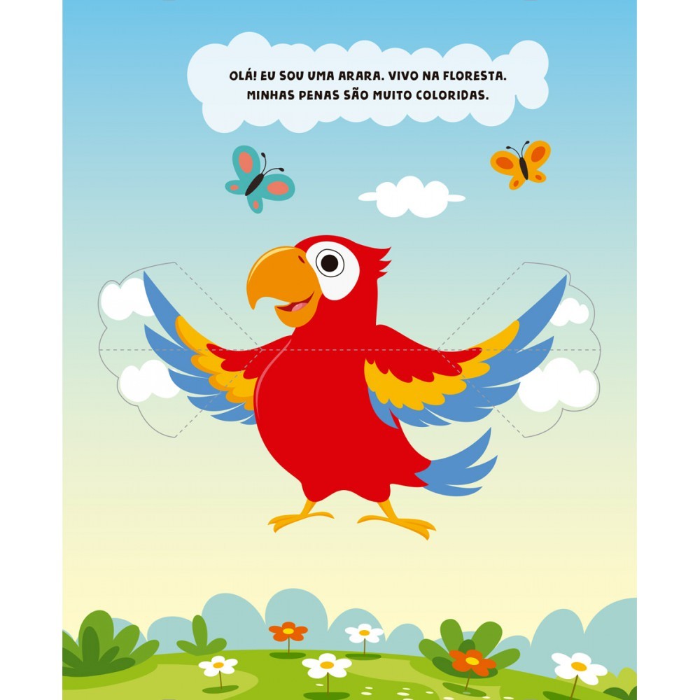 Livro Conhecendo as aves · foto 2