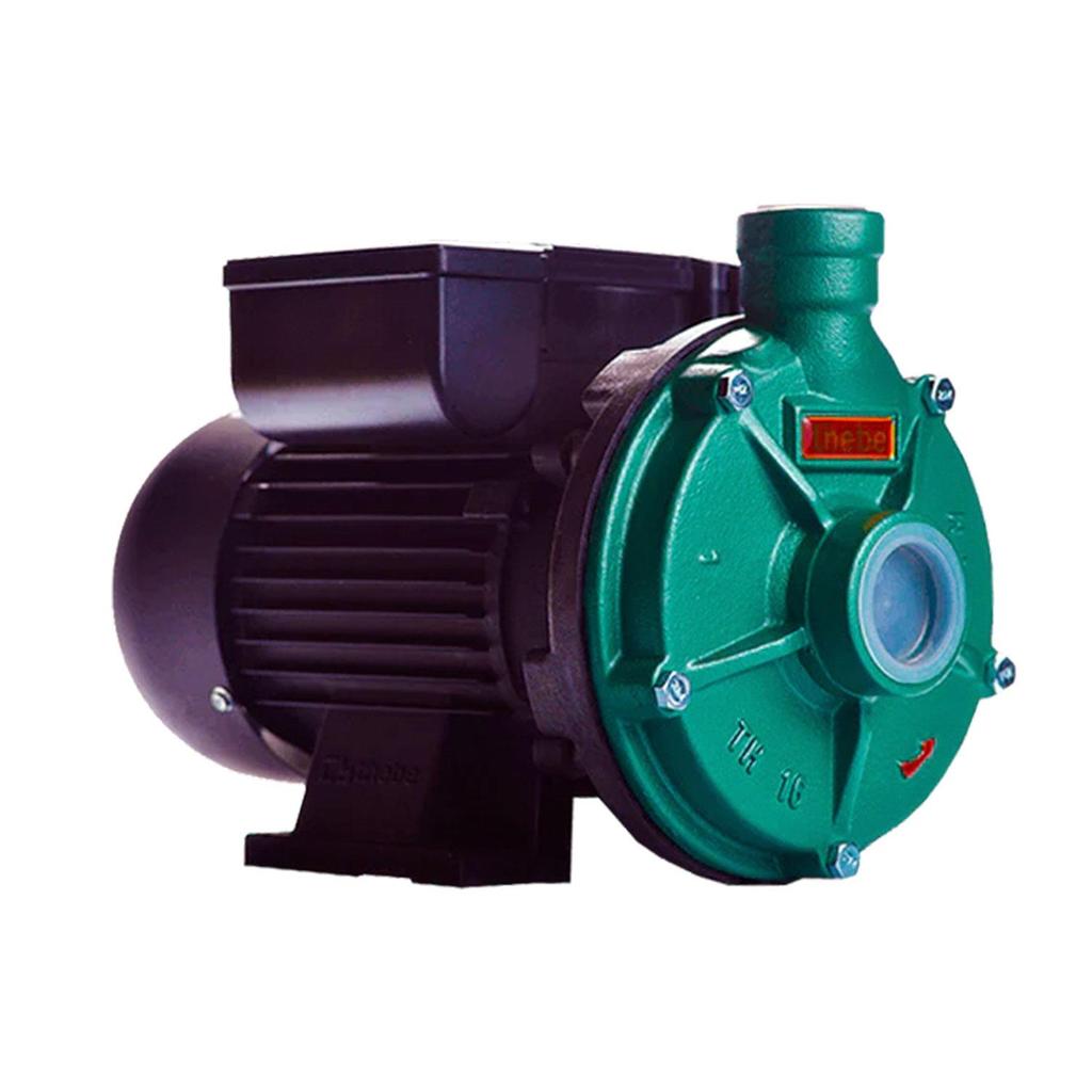 Bomba Centrifuga Thebe Th-16 Nr 1,5 cv Monofásica 127/220-254v Ip55- Motor Thebe 136x3