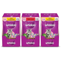 Combo Ração Úmida Whiskas Gato Filhote 60 Sachês Kit Completo