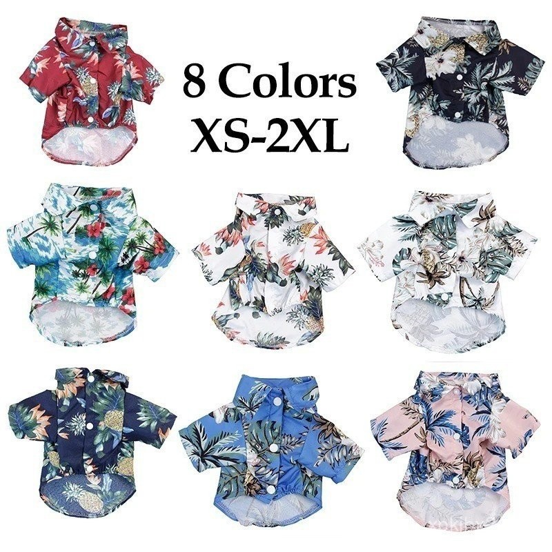 Roupas para Cachorro Chihuahua TPBT