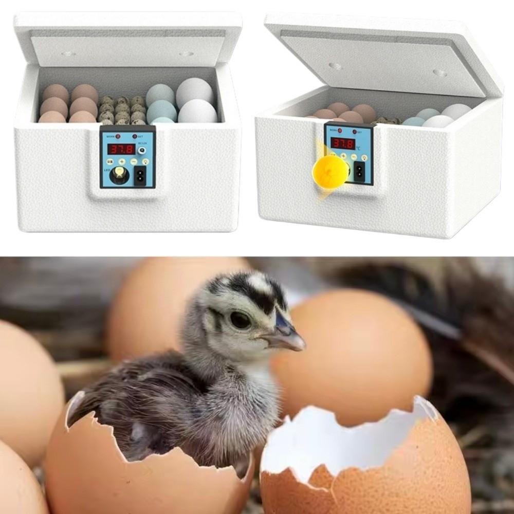 Incubadora Inteligente De Aves , Controle De Temperatura Umidade , 10/15 Peças , De Ovos Com Viveiro , Display Digital