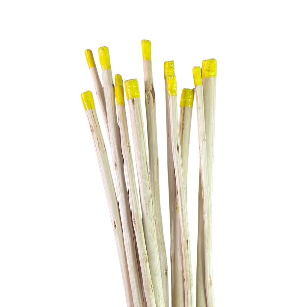 Aguidavi Percussão De Atabaques Candomblé 2 Unidades