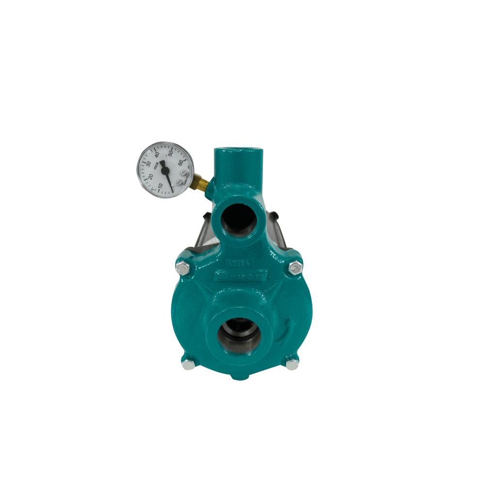 Motobomba Injetora 3/4cv 60Hz 110/220V I-109 ECI-75 Eletroplas
