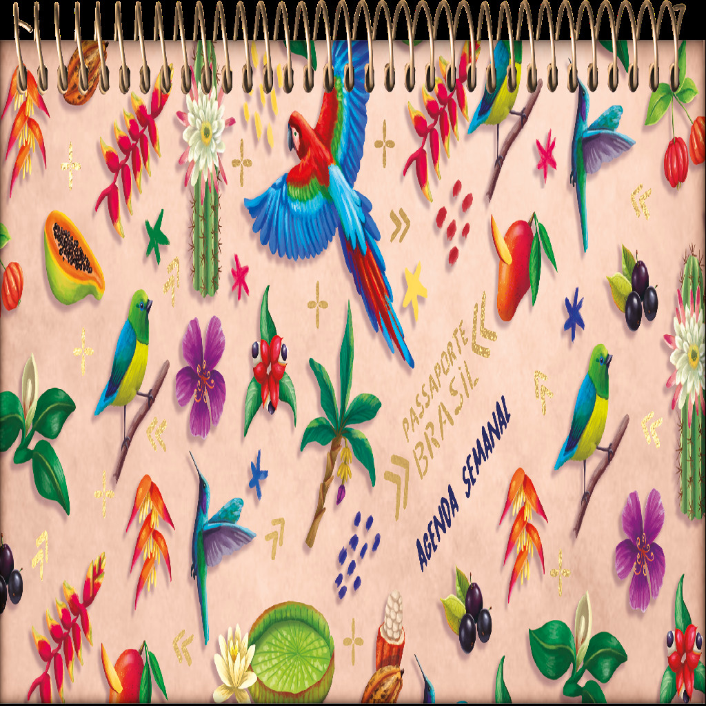 Agenda Semanal Passaporte Brasil 30x11cm Sortida