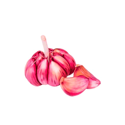Hortmix Alho Roxo Selecionado 150g