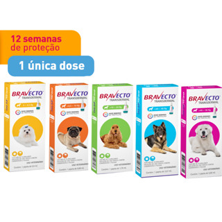 Antipulgas E Carrapatos MSD Bravecto Cães 1 Comprimido Mastigável em Oferta na Shopee