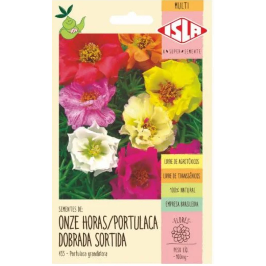 Sementes de onze horas sementes com cores variadas | Cultivo por sementes — imagem 2 de 2