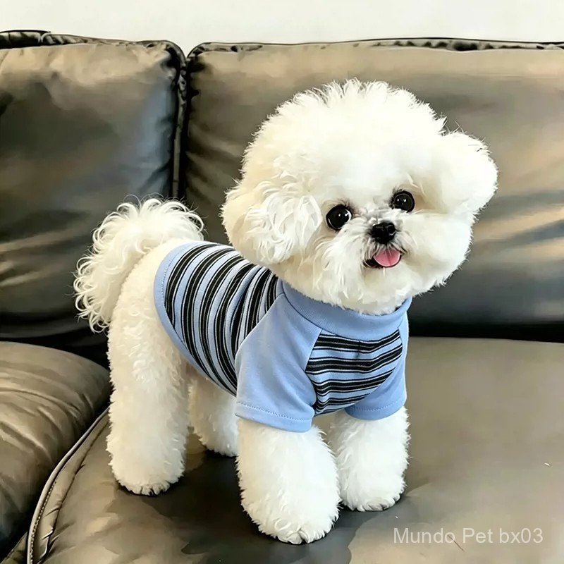 Camiseta de manga comprida listrada para cães, estilo Bo, para primavera e outono, ideal para cães de porte pequeno, pro