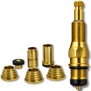 Kit Salva Registro Fácil 10 Em 1 Para Chuveiro Banheiro Reparo Registro De Pressão Completo em Oferta na Shopee