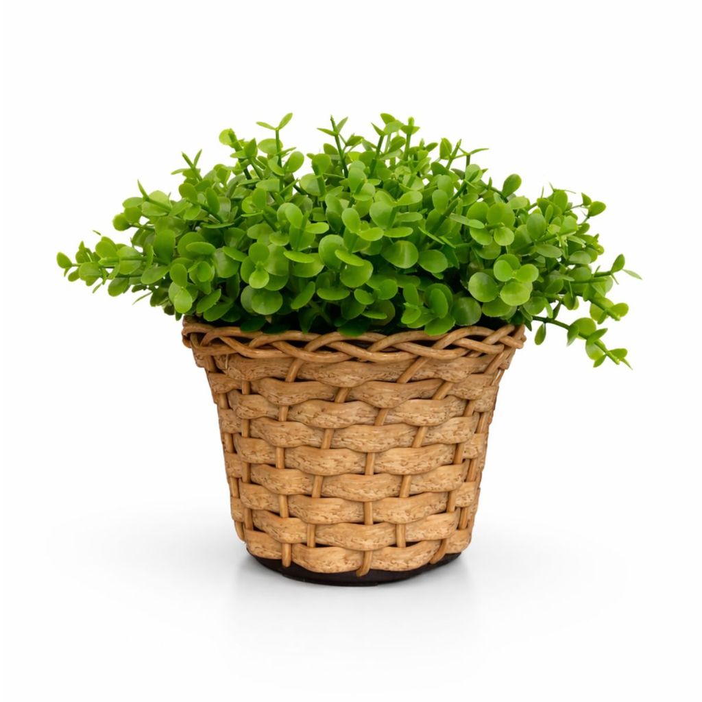 Arranjo Vaso Vime Folhagem Eucalipto Artificial Pequenos em Oferta na Shopee