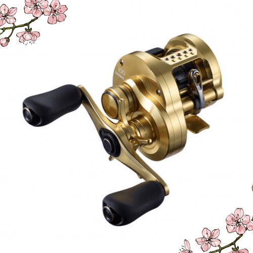 Shimano (SHIMANO) Carretilha de isca Calcutta Conquest Vários tipos