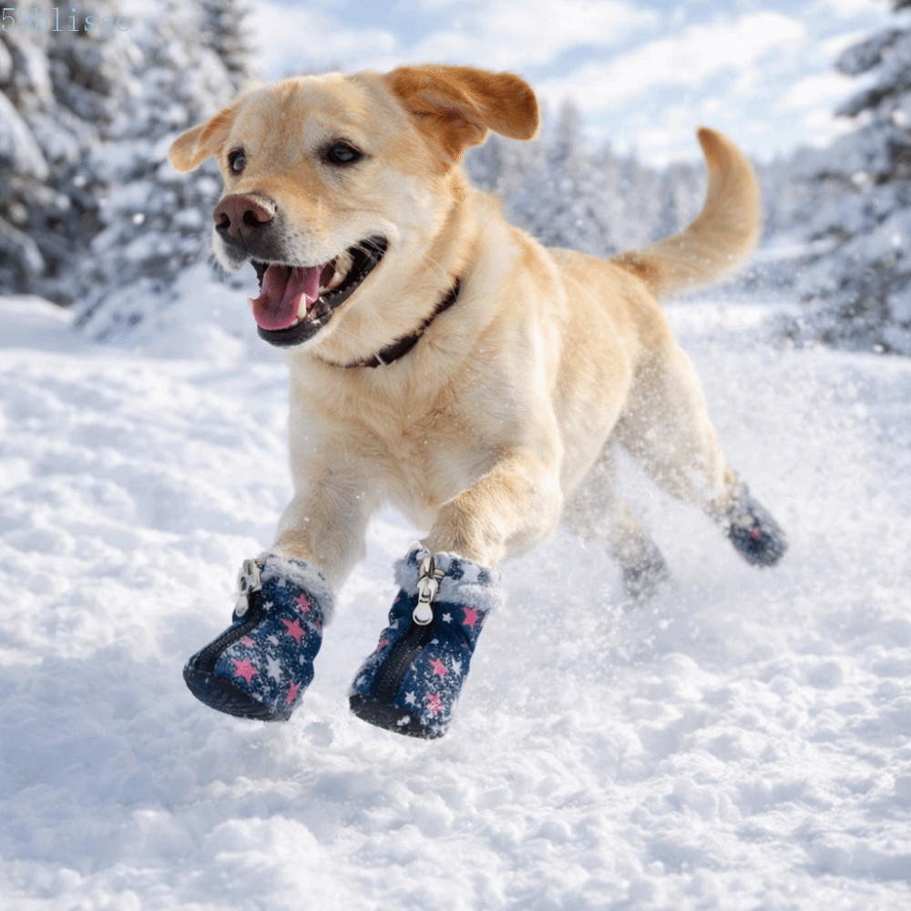 BLISSC 4 Peças/set Botas De Neve Para Cães , Quentes De Inverno Resistentes Ao Desgaste , Calçados Antiderrapantes E Con