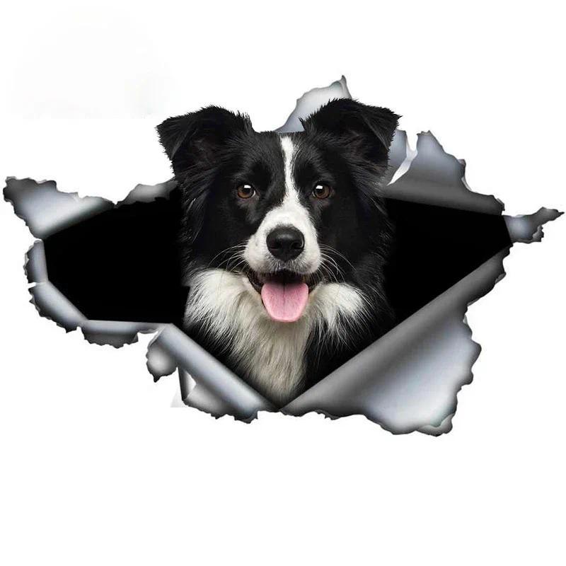 Engraçado Cão De Estimação Borda Collie Decalque Adesivo Do Carro Design Original Tronco Pára-Choques À Prova Dwaterproo