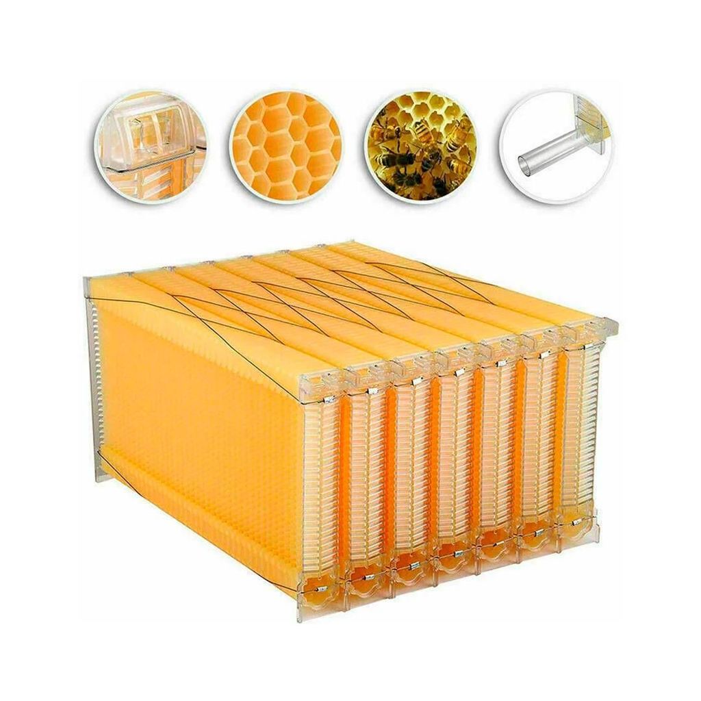 Melgueira Automática Quadros Plásticos Para Colmeia Abelhas