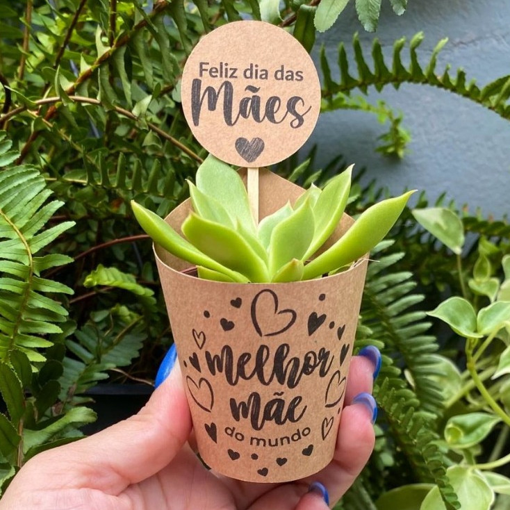 Rótulo e Tag no papel Kraft Dia das Mães para mini suculentas | Presente Ideal para o Dia das Mães