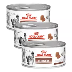 Kit 3 Ração Úmida Royal Canin Recovery Lata Cães E Gato 195g
