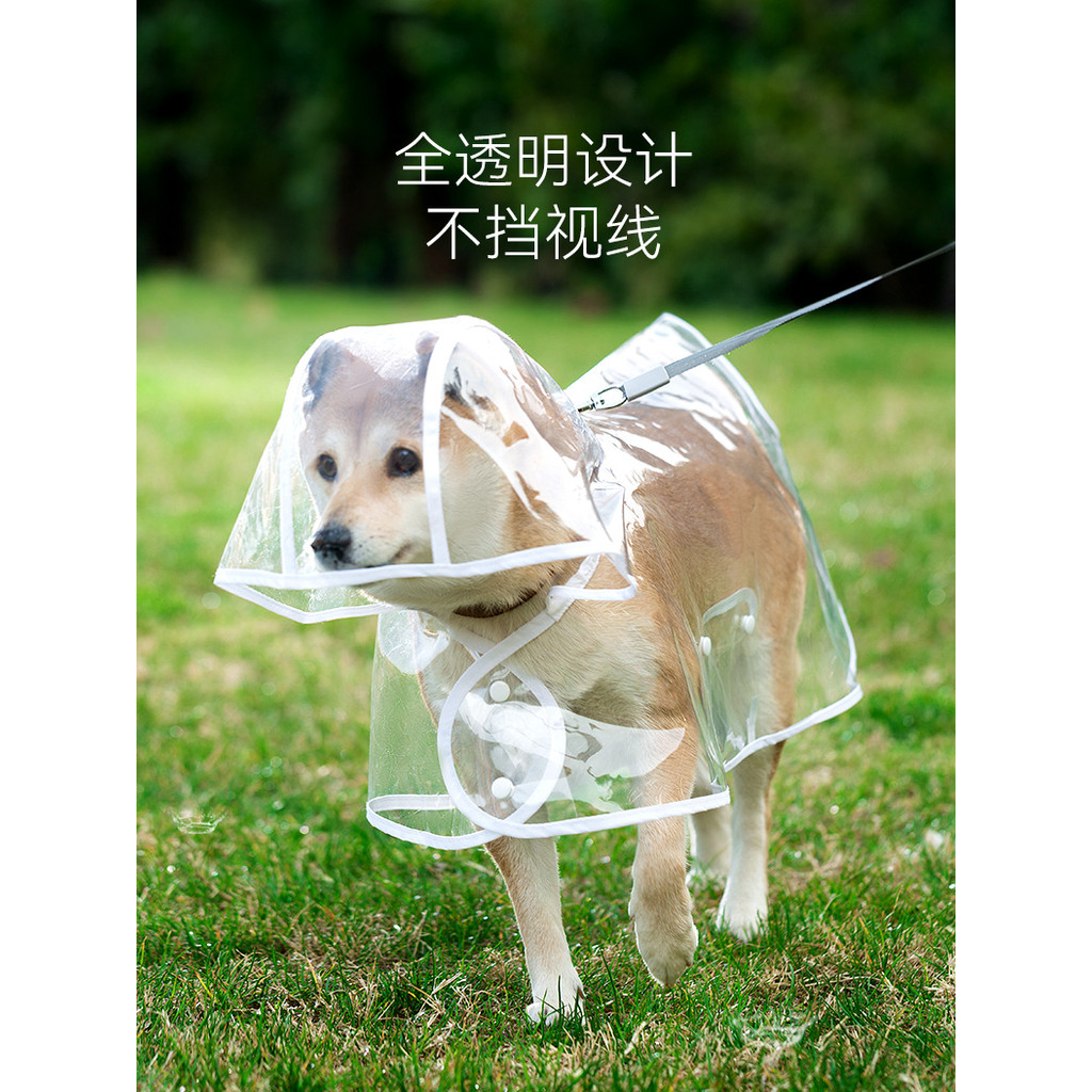 Capa de chuva para cachorro de estimação, Bichon, médio e pequeno, à prova d'água, transparente, Poncho Shiba Inu, roupa