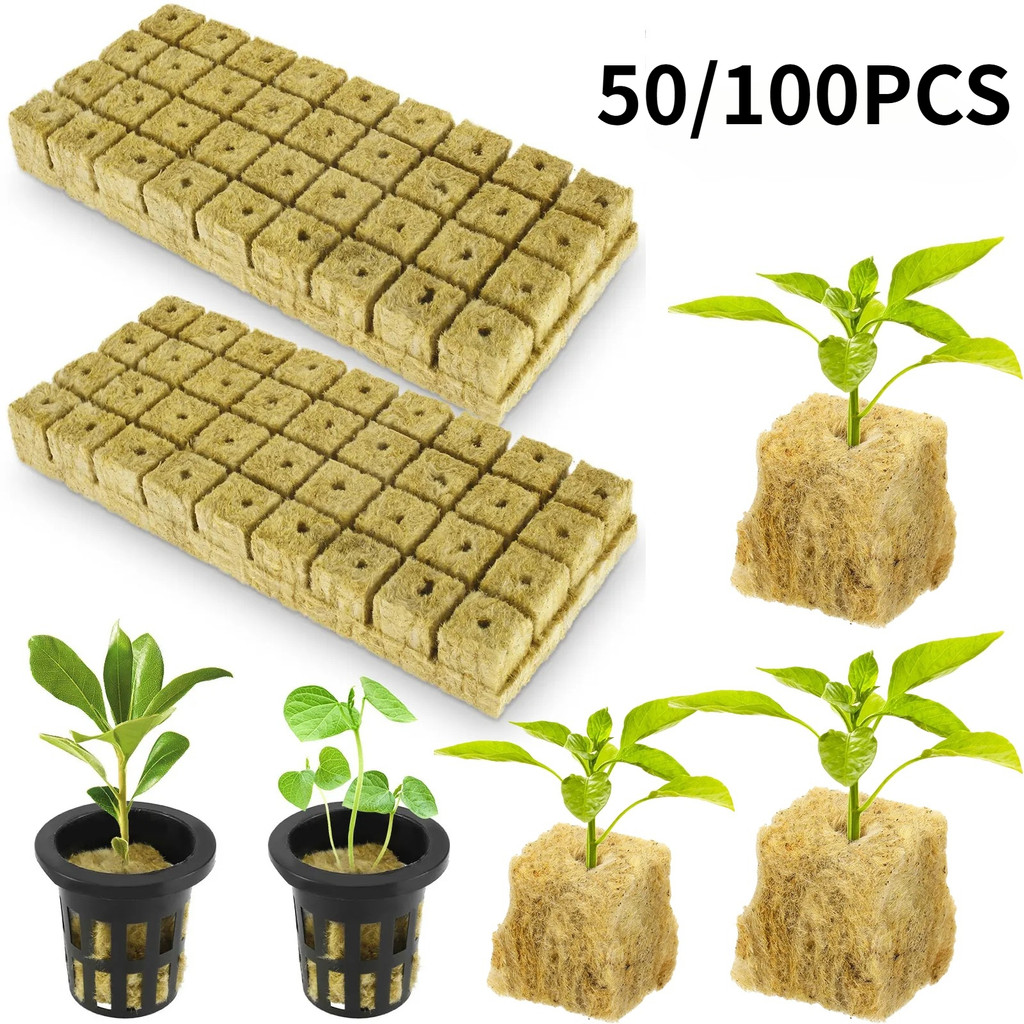 50/100 Pcs Cubos De Lã De Rocha Para Cultivo Sem Solo Blocos Iniciais De Mudas De Plantas em Oferta na Shopee