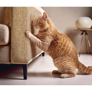 Arranhador Adesivo Premium Sofá, Cama e Móveis Para Gato - Protetor Pet em Oferta na Shopee