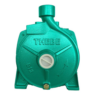 BOMBA SOLAR B-13 950W IP44 114V  - EBARA em Oferta na Shopee