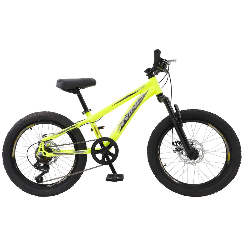 Bicicleta Aro 20 Rino Freio A Disco Cambio Shimano