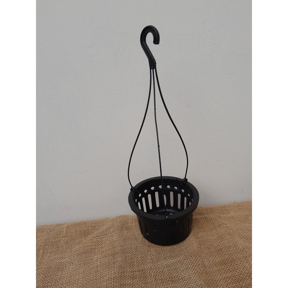 VASO VAZADO + SUPORTE ORQUÍDEA VANDA STANHOPEA 15CM - KIT 5