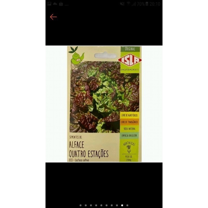 Arara sementes de hortaliças - Isla ( com 10 ) aleatórias | Para semear — imagem 2 de 2