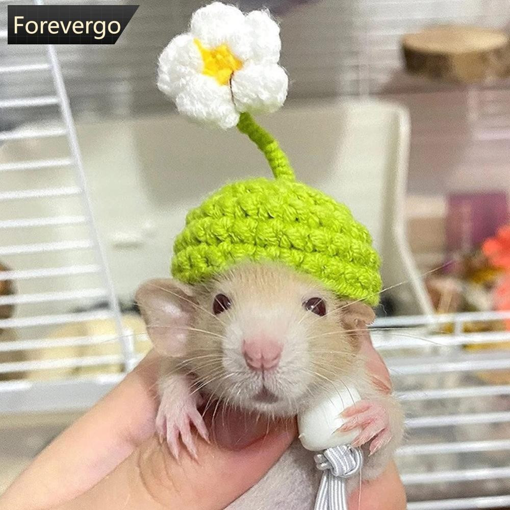 FOREVERGO Chapéu de Pelo para Hamster, Papagaio, Agapornis e Pássaros, Tricô de Crochê para Pequenos Animais e Mini Páss