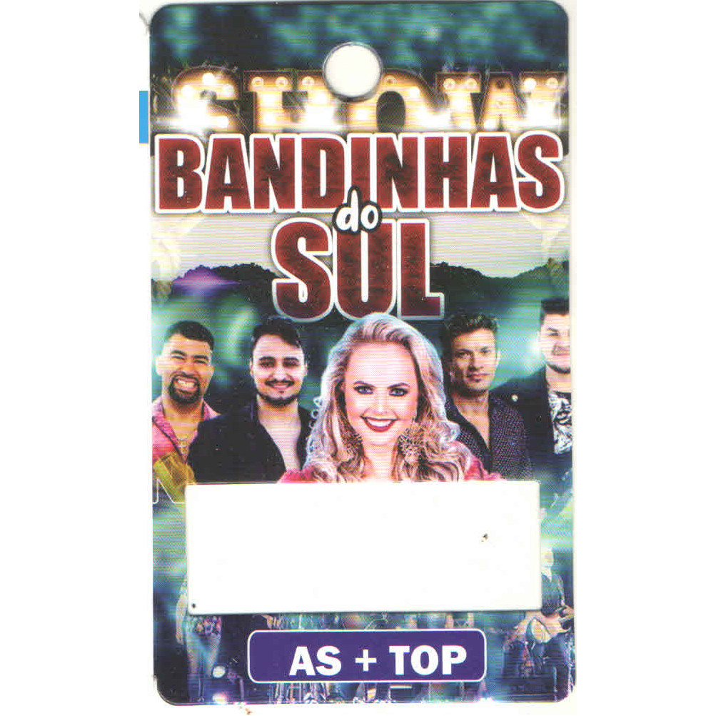 Play Drive Personalizado - Bandinhas do Sul - ENVIO IMEDIATO